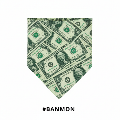 Dollar Bill Print Bandana #BANMON
