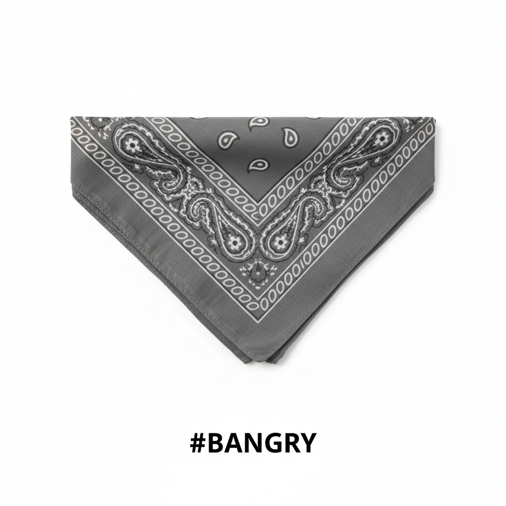 Grey Printed Paisley Bandana #BANGRY