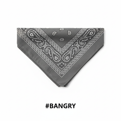 Grey Printed Paisley Bandana #BANGRY