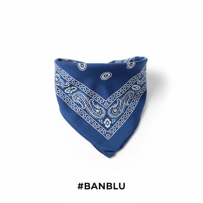 Blue Printed Paisley Bandana #BANBLU