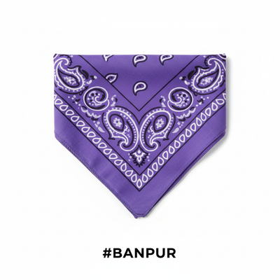 Purple Printed Paisley Bandana #BANPUR