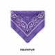 Purple Printed Paisley Bandana #BANPUR