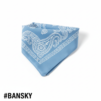Sky Blue Printed Paisley Bandana #BANSKY