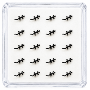 Black lizard shaped stud earrings arranged in a clear acrylic display case on white background