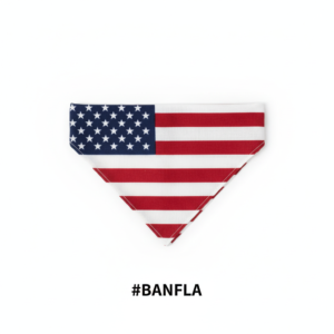 US American Flag Print Bandana #BANFLA