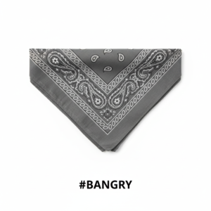 Grey Printed Paisley Bandana #BANGRY