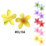Jawa Hair Clip Flower Style Mix Color 5 Pieces #CL134
