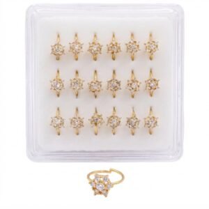 Nose Ring Star With Stones in a display case