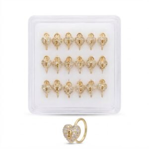 Nose Ring Heart With Stones in a display case